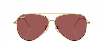 IZI_Ray-Ban-RBR0101S-00169-S